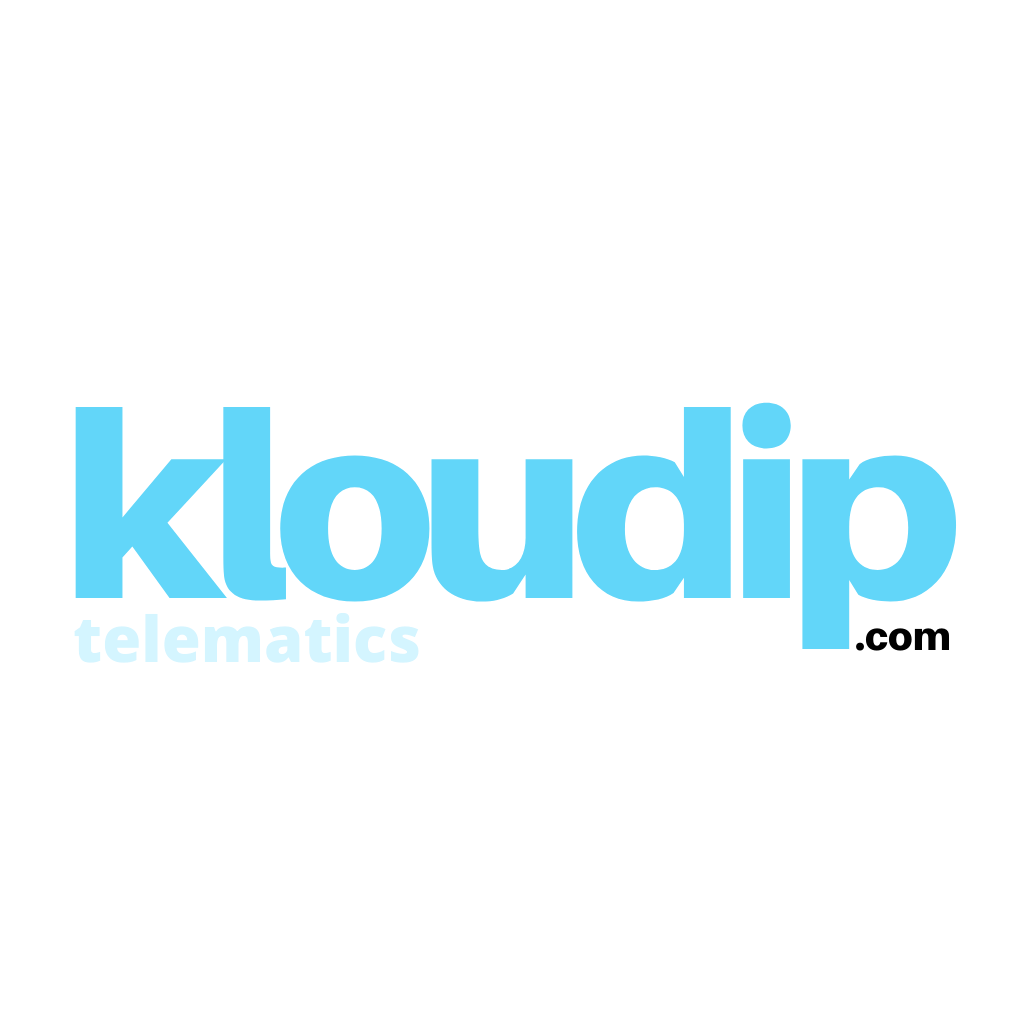 KLOUDIP company infographics